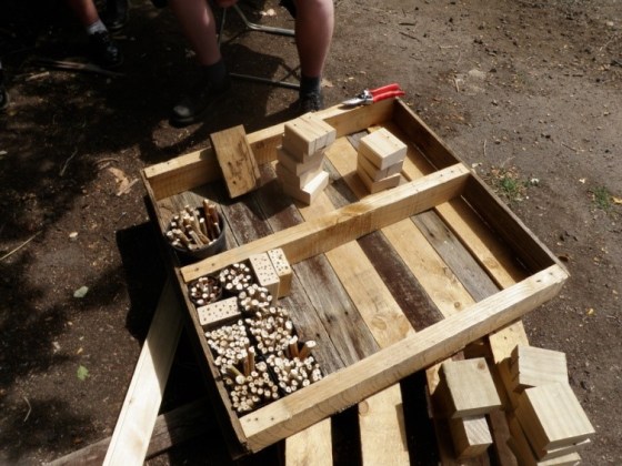 bee hotel